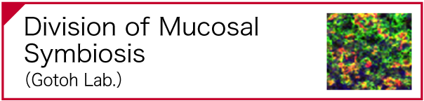Mucosal Symbiosis