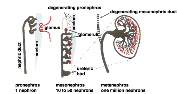 Fig.2