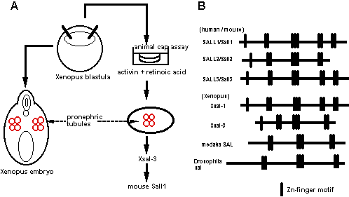 図3