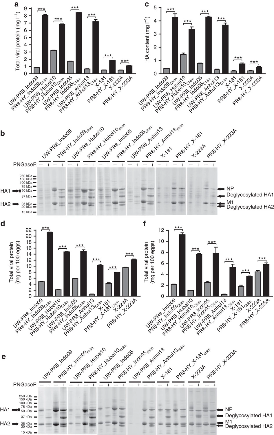 Evaluation of the total viral protein and HA content of PR8-HY candidate vaccine viruses