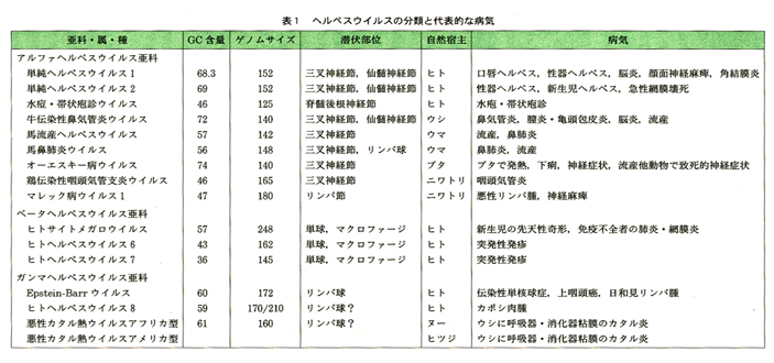 ヘルペス ウイルス と は