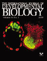 Int J Dev Biol., 54(1):33-9, 2010