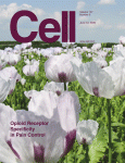 Cell, 137(6):1088-99, 2009