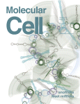 Mol Cell, 32(4):554-63, 2008