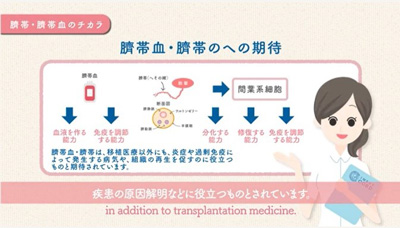 妊婦さん向けの動画より