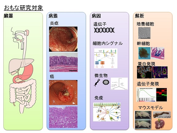 研究室紹介 東京大学医科学研究所 先端医療研究センター 先端ゲノム医学分野