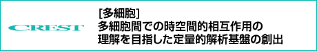 https://www.jst.go.jp/kisoken/crest/project/1111106/1111106_2020.html