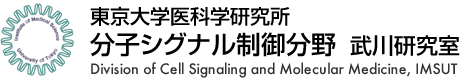 東京大学医科学研究所 分子シグナル制御分野  武川研究室,Division of Cell Signaling and Molecular Medicine Institute of Medical Science, The University of Tokyo