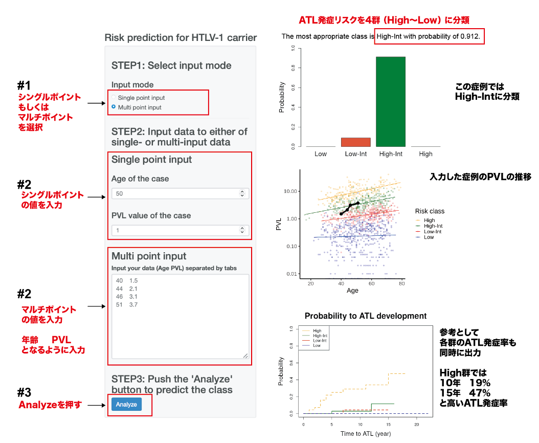 HTLV-1キャリアにおけるATL発症リスク推定研究の概念図