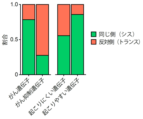 がん遺伝子の複数変異の位置関係