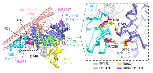 分子動力学シミュレーションの結果