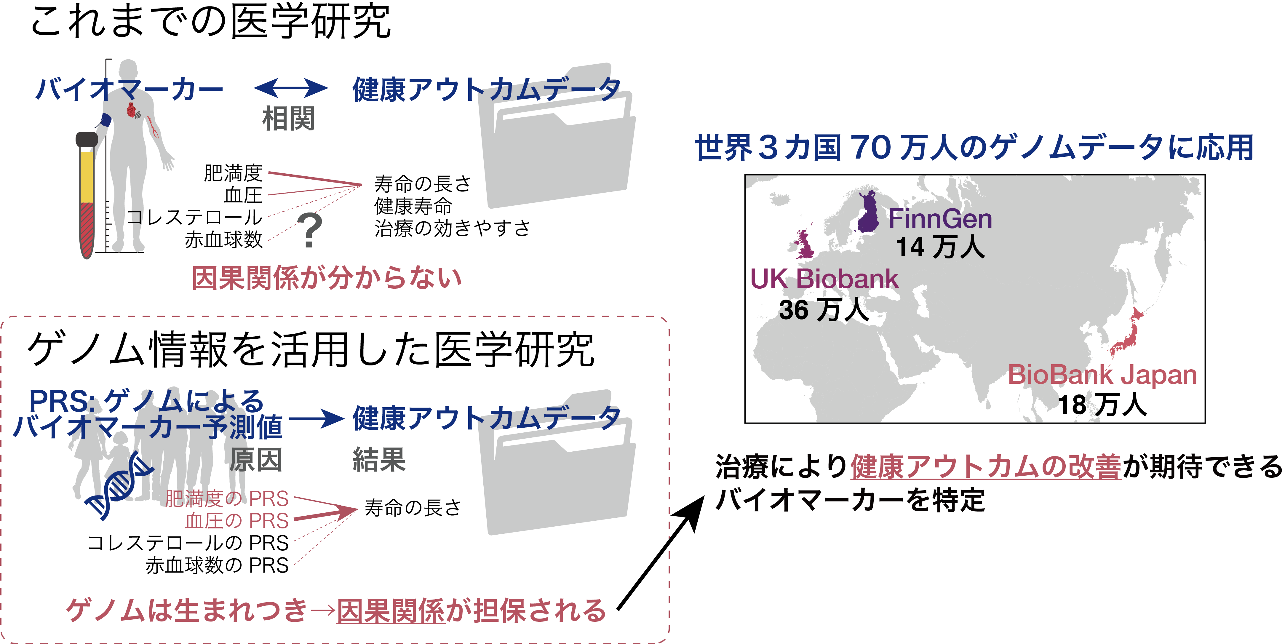 70万人のゲノム情報を活用して寿命の長短の原因となるバイオマーカーを特定