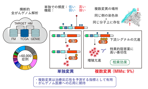 研究の概要図