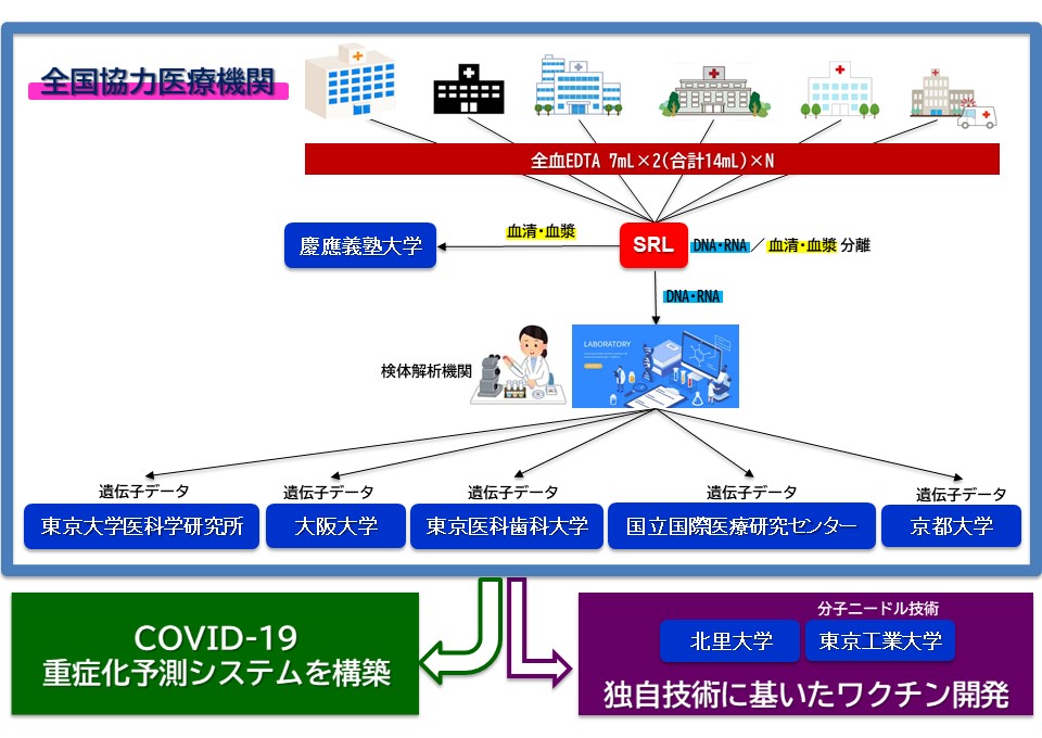 コロナ に かかり やすい 血液 型