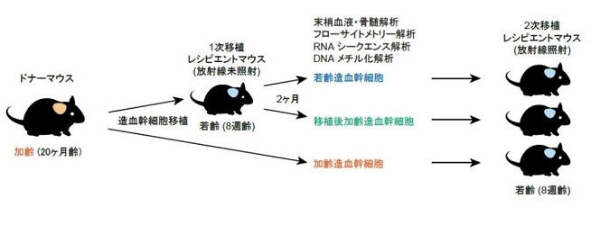 （画像の代替テキスト）