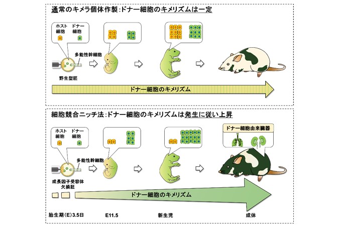 (画像の代替テキスト)