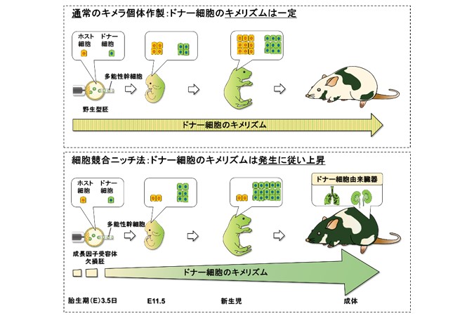 （画像の代替テキスト）