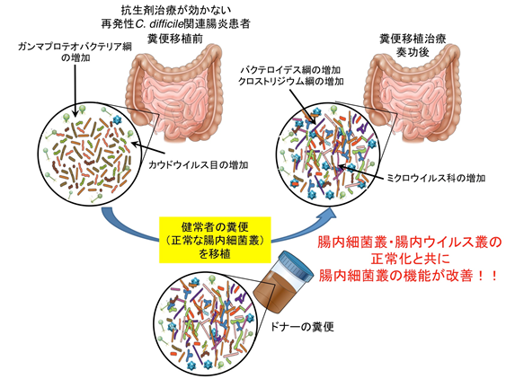 通過 菌 叢 と は