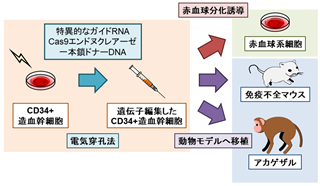 （画像の代替テキスト）