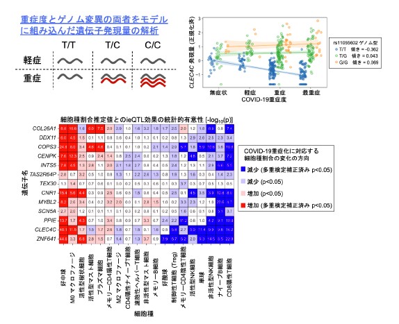 過剰ストレスを受けたマウスにおける遺伝子発現の低下
