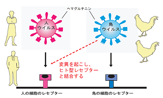 04fig_kawa.gif