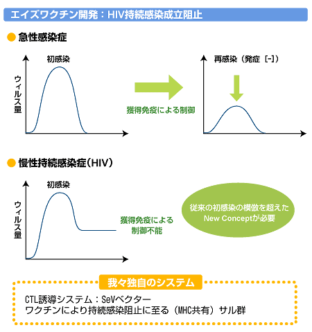 エイズワクチン開発:HIV持続感染成立阻止