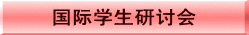 国际学生研讨会