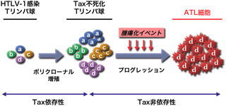 東京大学大学院・新領域創成科学研究科・メディカルゲノム専攻・病態 