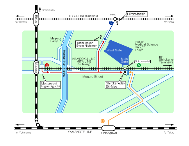 周辺地図