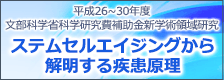 ステムセルエイジングから解明する疾患原理