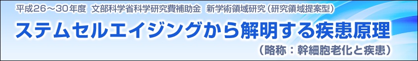 ステムセルエイジングから解明する疾患原理