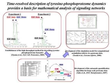 Phosphoproteome.gif