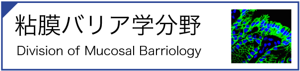 粘膜バリア学分野