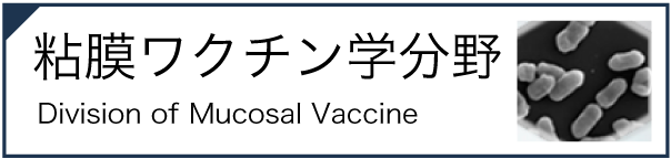 粘膜ワクチン学分野