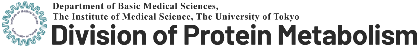 Division of Protein Metabolism, Department of Basic Medical Sciences, The Institute of Medical Science, The University of Tokyo