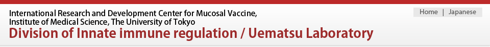 Division of Innate immune regulation, International Research and Development Center for Mucosal Vaccine, Institute of Medical Science, The University of Tokyo / Uematsu Laboratory