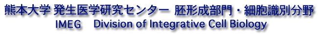 kumamto-title