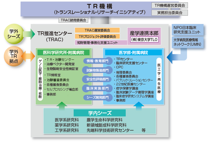 東京大学のトランスレーショナルリサーチ推進体制