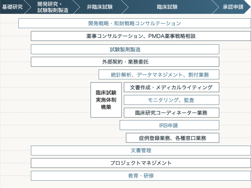 臨床開発のプロセスで必要となる業務