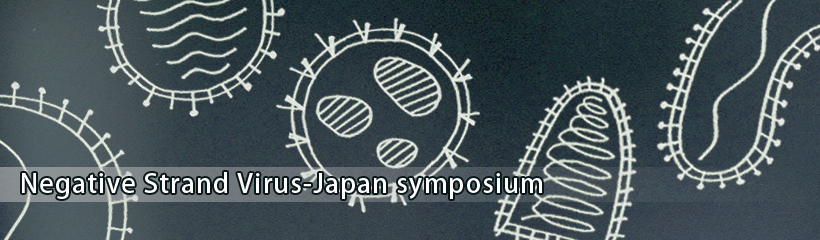 Negative Strand Virus-Japan symposium