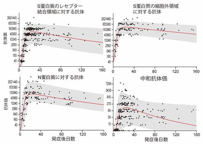 COVID-19患者におけるSARS-CoV-2に対する抗体価の変動