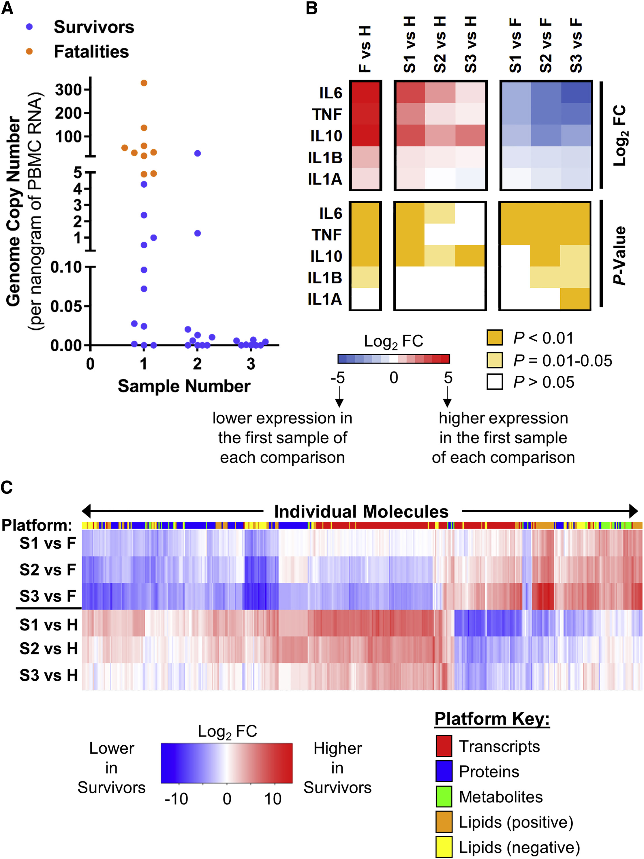 EVD Survivors and Fatalities Are Differentiated by Viral Load and Host Responses